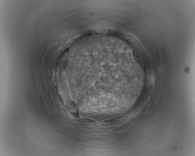 X0000092031060200709201607