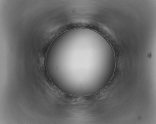 X0000092031061200709201607