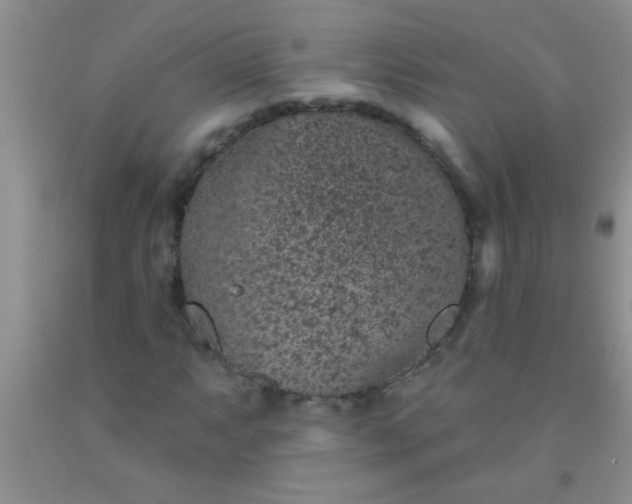 X0000092031063200709201607