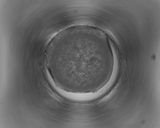 X0000092031065200709201607