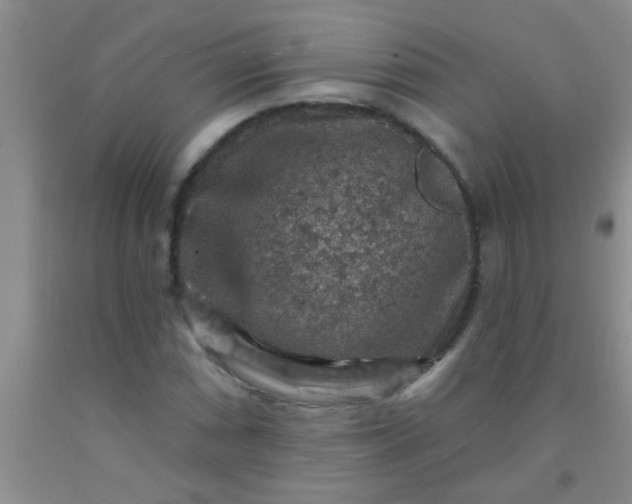 X0000092031066200709201607