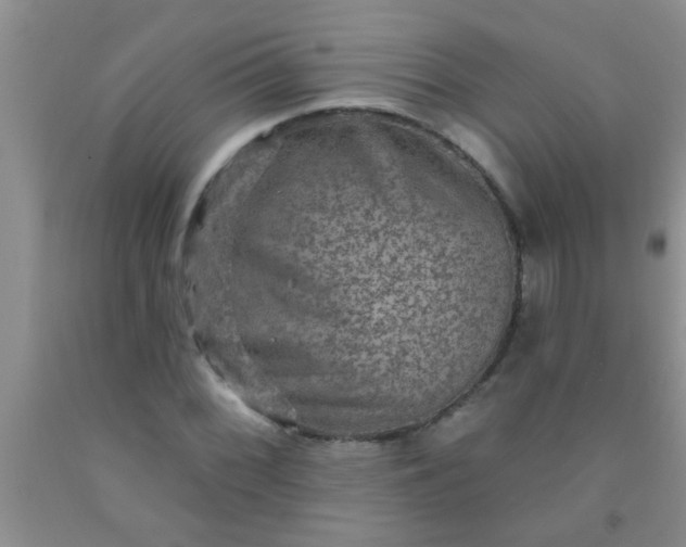 X0000092031068200709201607