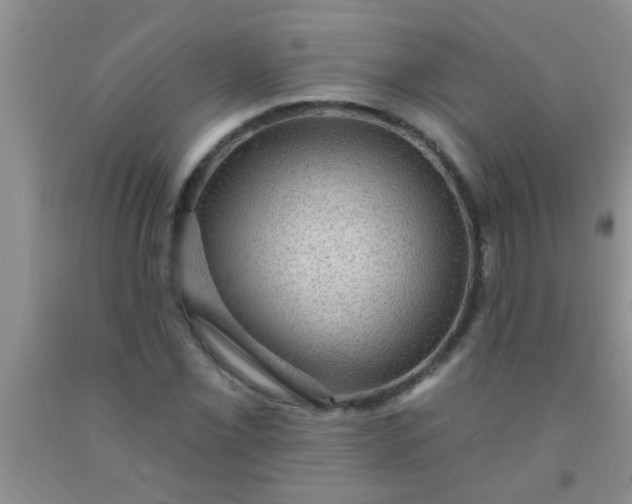 X0000092031069200709201607