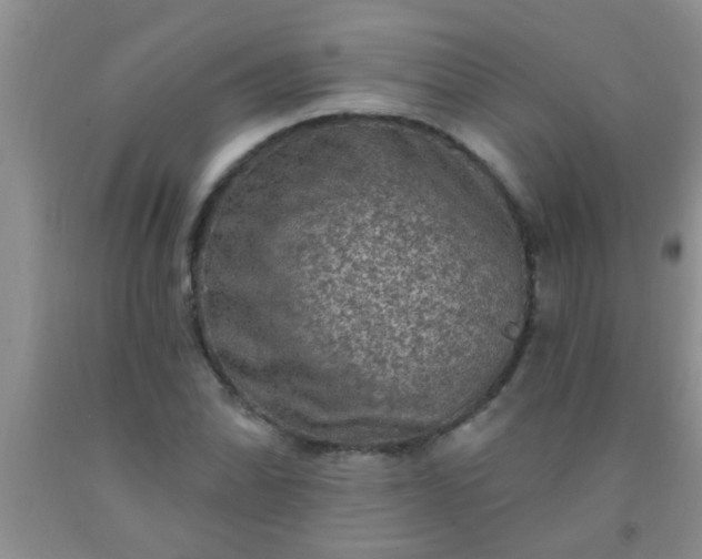 X0000092031070200709201607