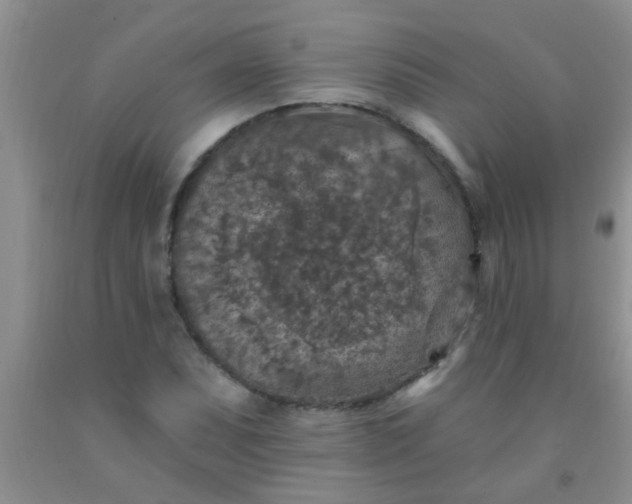 X0000092031071200709201607