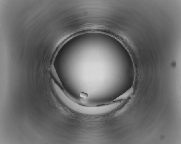 X0000092031073200709201607