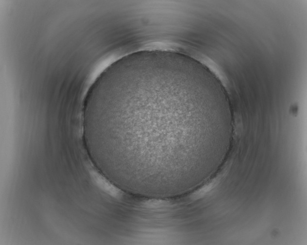 X0000092031075200709201607