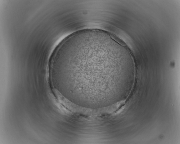 X0000092031076200709201607