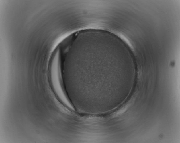 X0000092031077200709201607