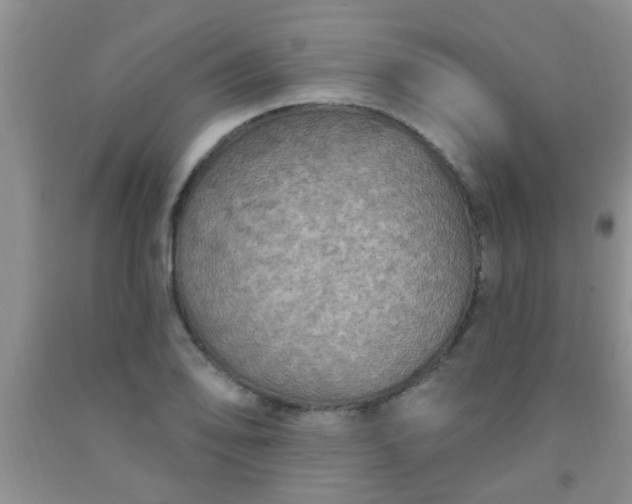 X0000092031078200709201607