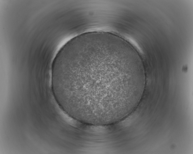 X0000092031079200709201607