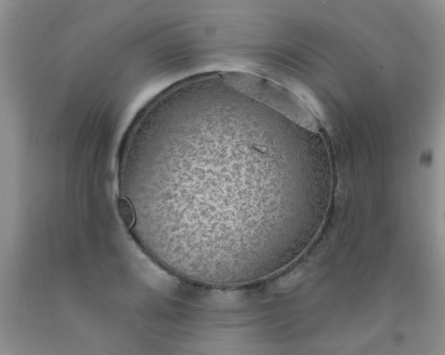 X0000092031080200709201607