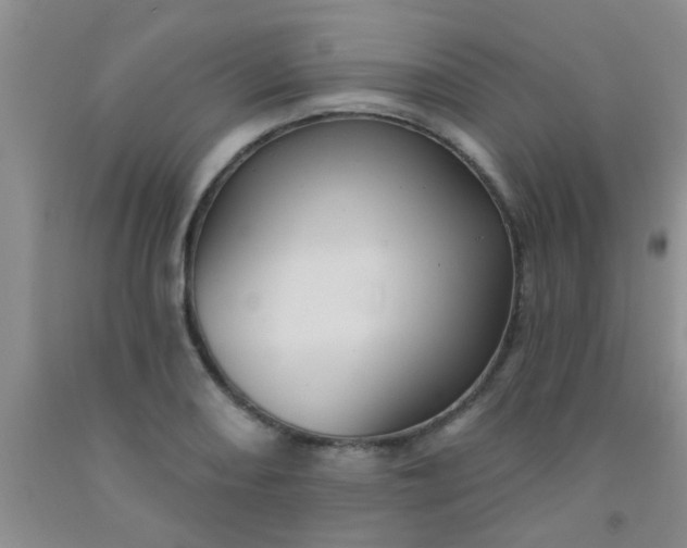 X0000092031082200709201607