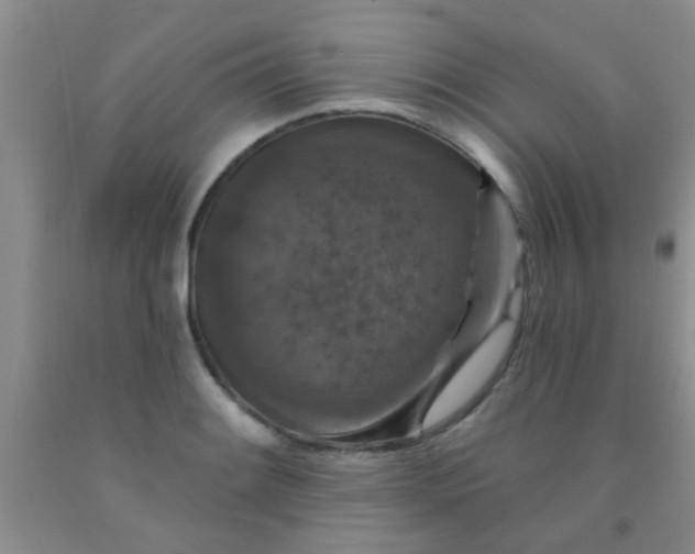 X0000092031084200709201607