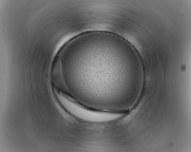 X0000092031085200709201607