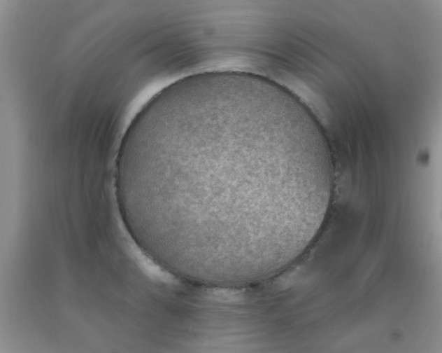 X0000092031086200709201607