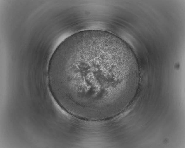 X0000092031087200709201607