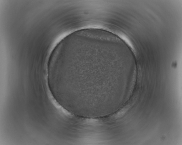 X0000092031088200709201607