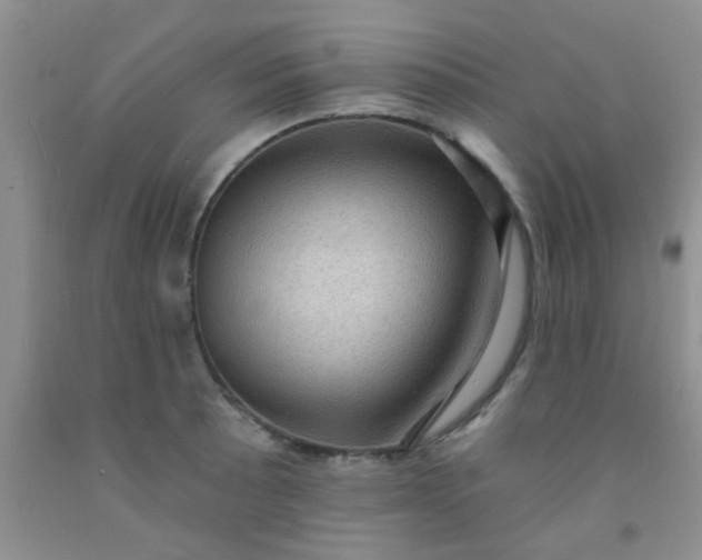 X0000092031089200709201607