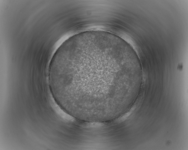 X0000092031090200709201607