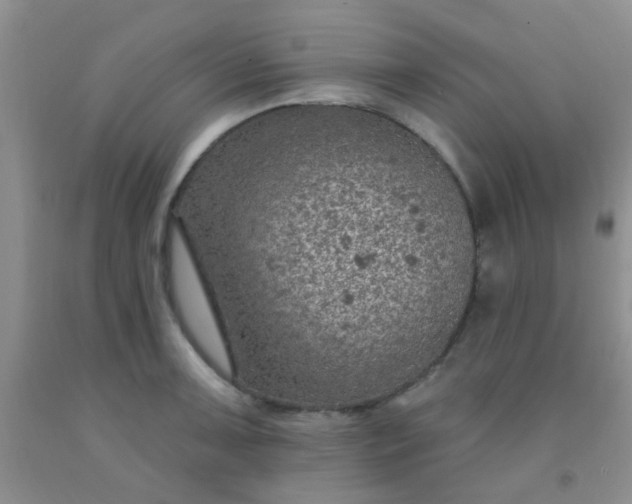 X0000092031091200709201607