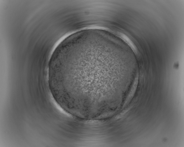 X0000092031092200709201607