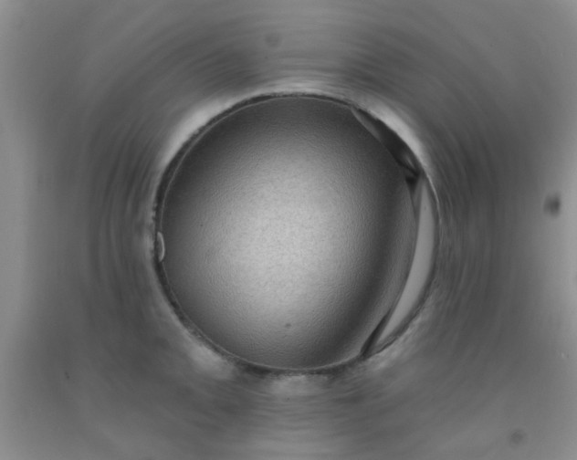 X0000092031093200709201607