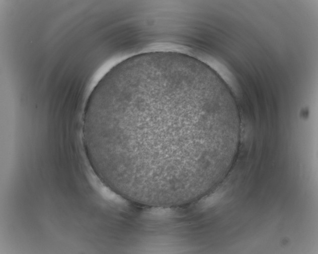 X0000092031094200709201607