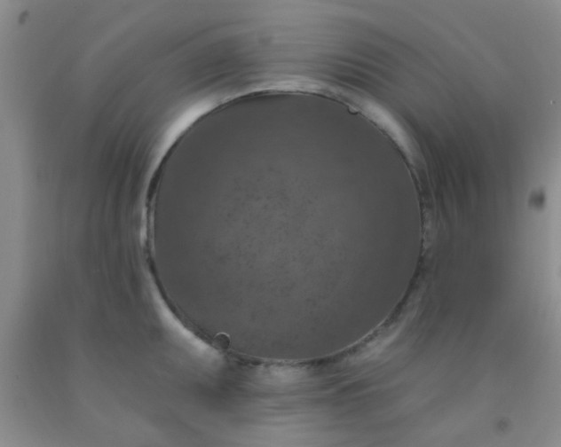 X0000092031095200709201607