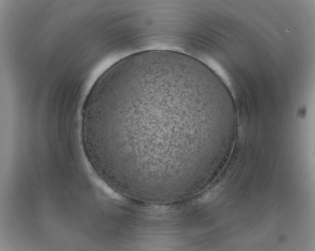 X0000092031096200709201607