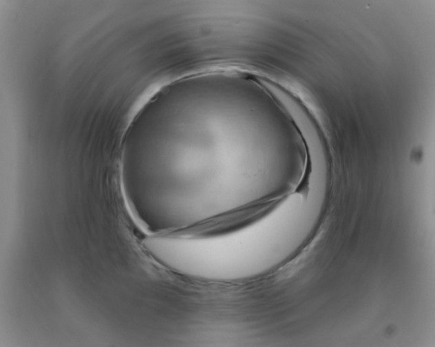 X0000092031097200709201607