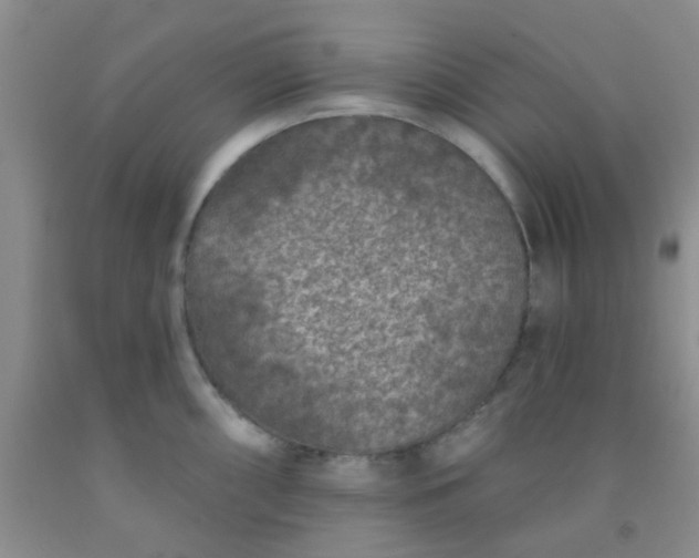 X0000092031098200709201607