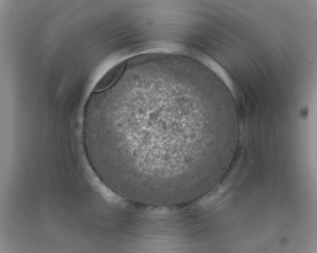 X0000092031099200709201607