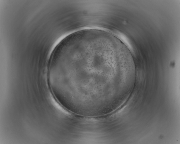 X0000092031100200709201607