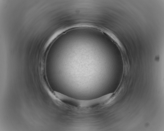 X0000092031101200709201607