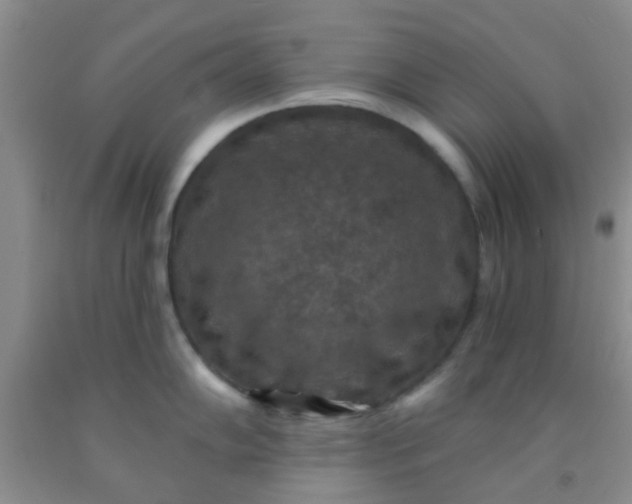 X0000092031102200709201607