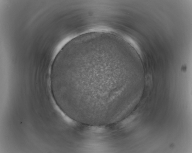 X0000092031103200709201607