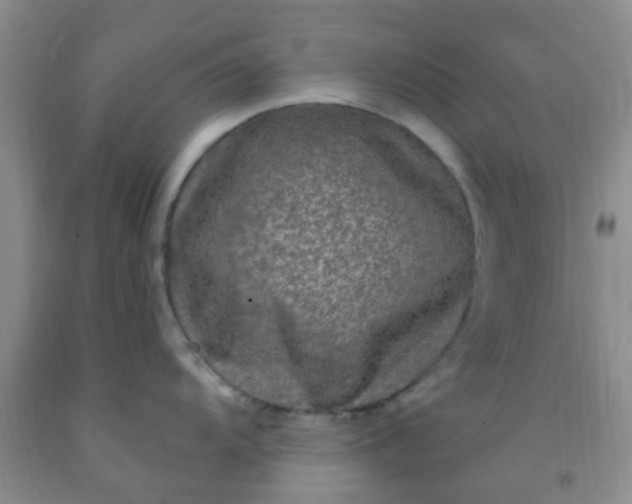 X0000092031104200709201607