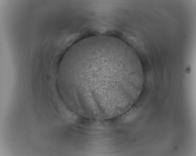 X0000092031105200709201606