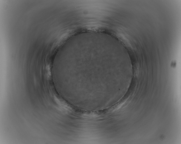 X0000092031106200709201606