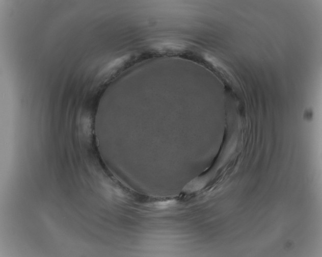 X0000092031108200709201606