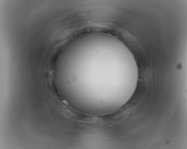 X0000092031109200709201606