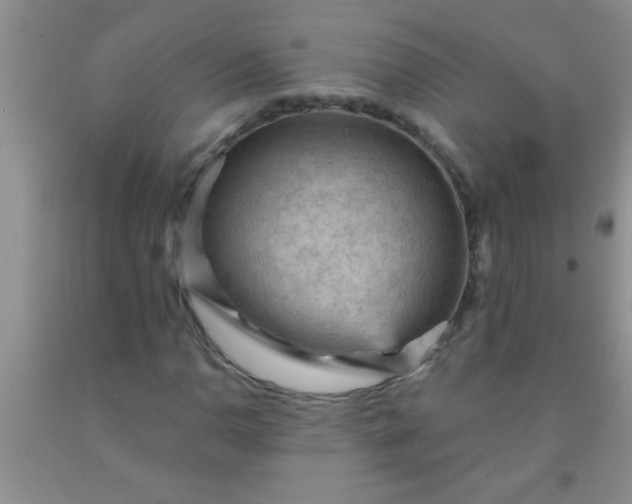 X0000092031110200709201606