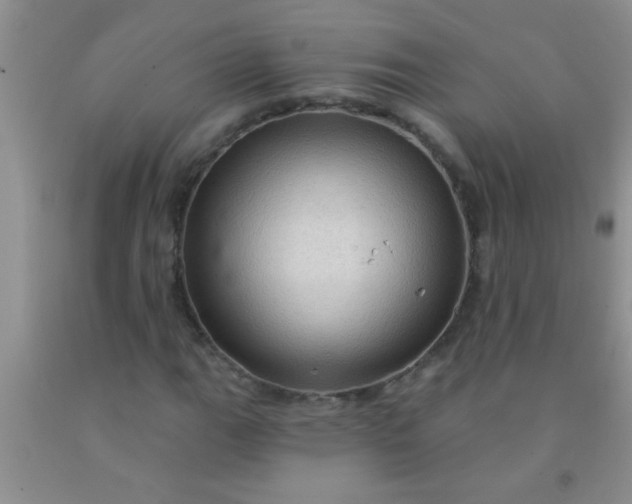 X0000092031111200709201606