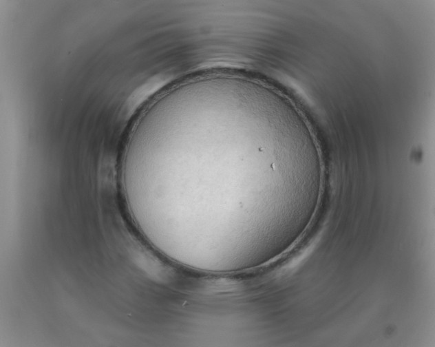 X0000092031113200709201606