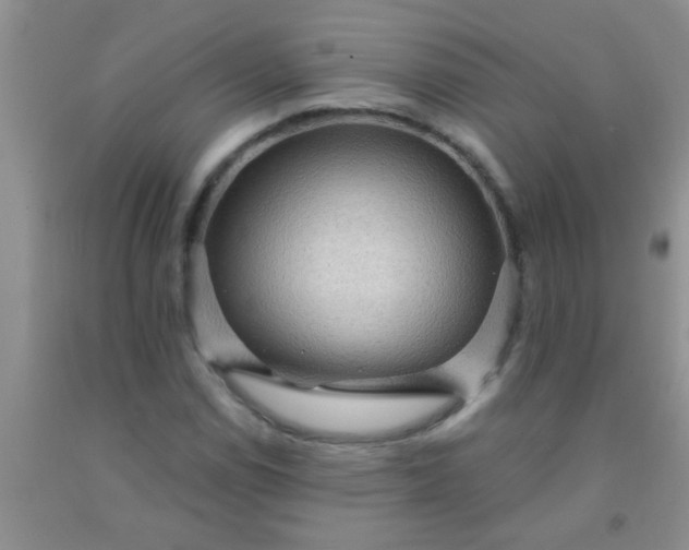 X0000092031114200709201606