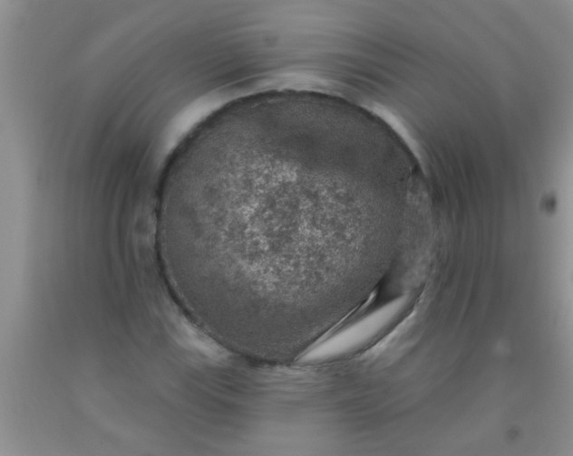 X0000092031115200709201606