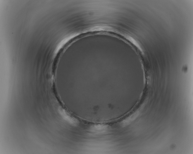 X0000092031117200709201606