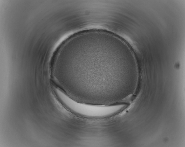 X0000092031118200709201606