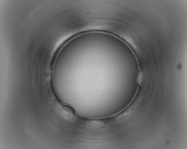 X0000092031119200709201606